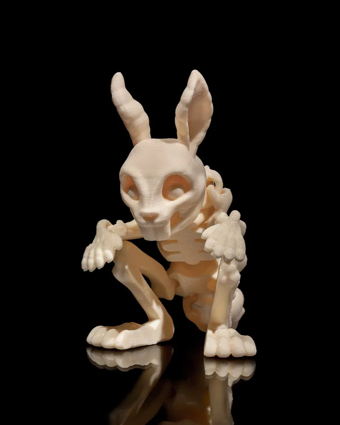Skeleton - Bunny