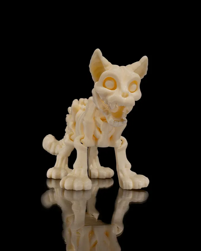 Skeleton - Cat