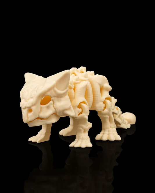 Skeleton - Ankylosaurus