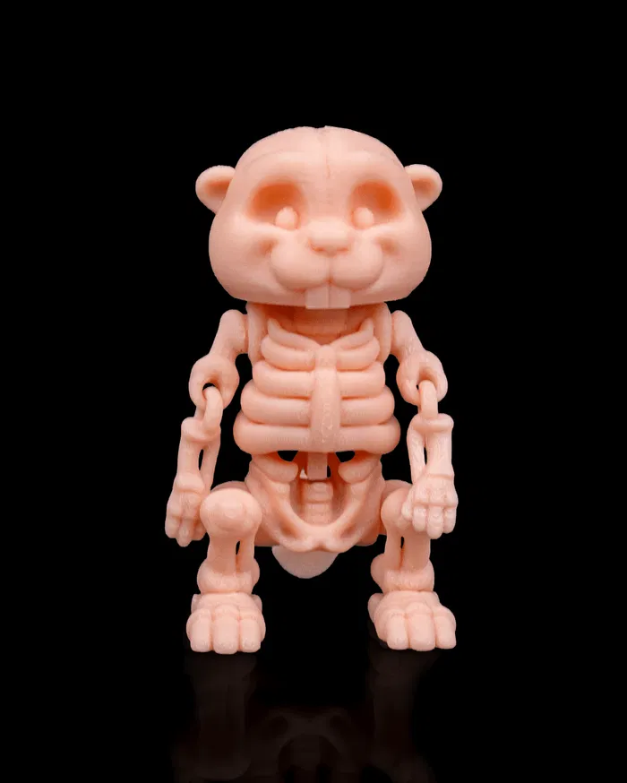 Skeleton - Beaver
