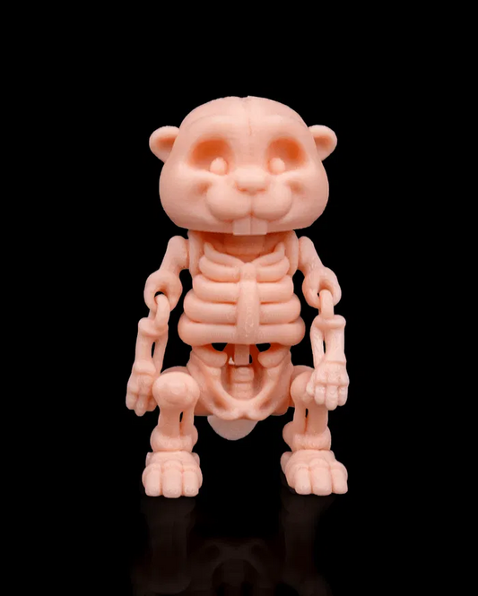 Skeleton - Beaver